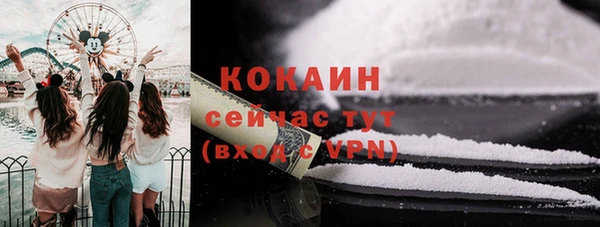 прущий лед Алзамай